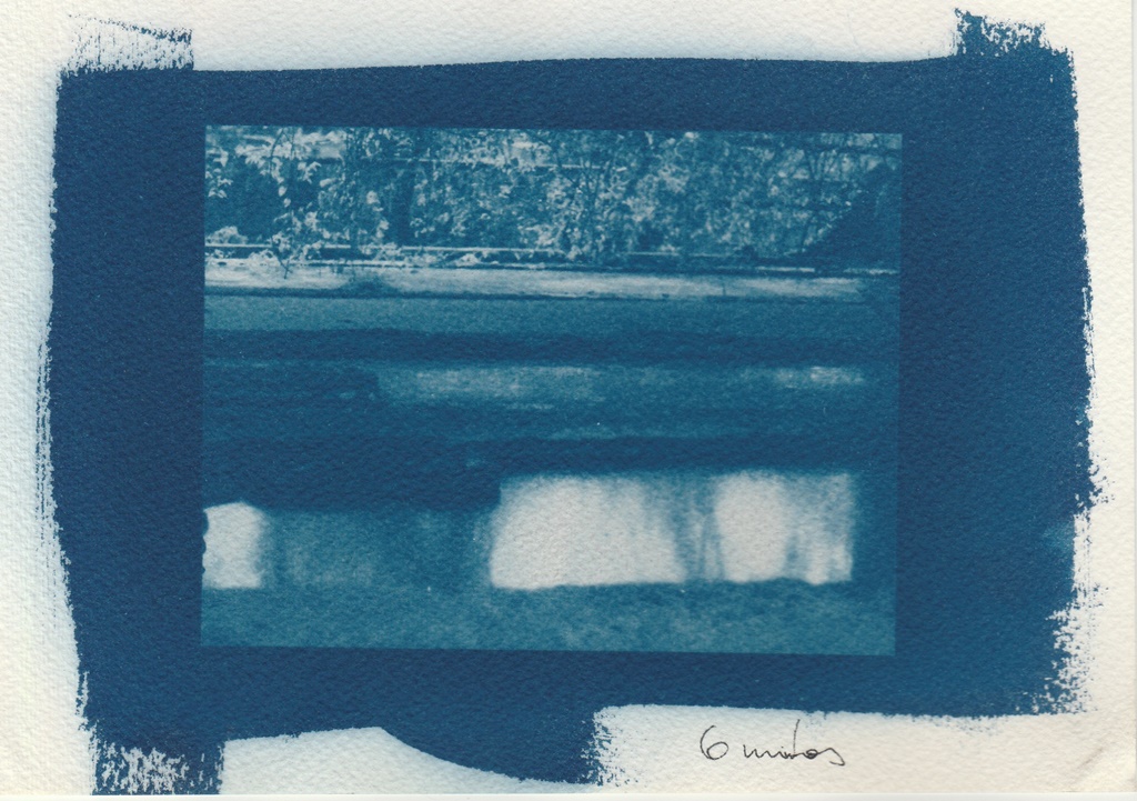 Cianotipia sobre papel, testando os tempos de exposição, 2019
