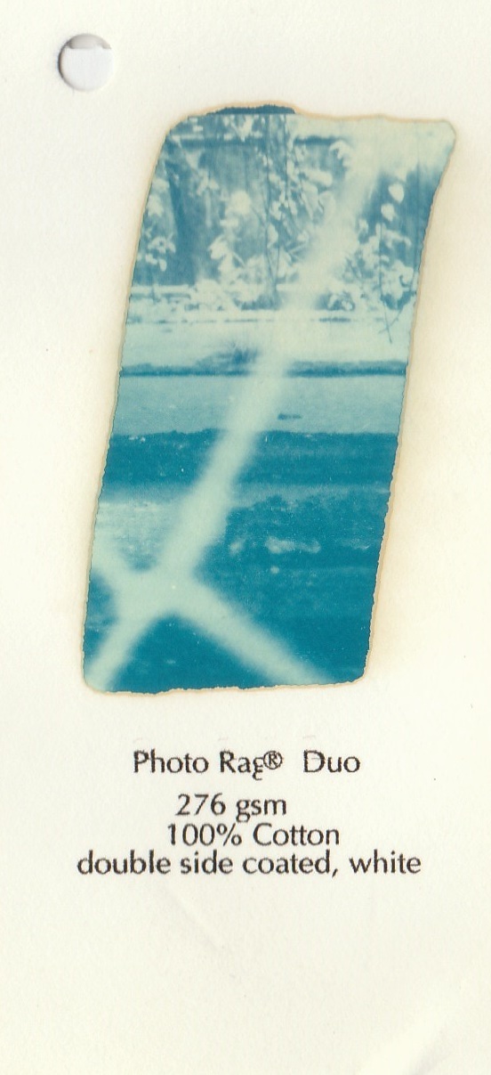 Cianotipia sobre papel inkjet, 2016