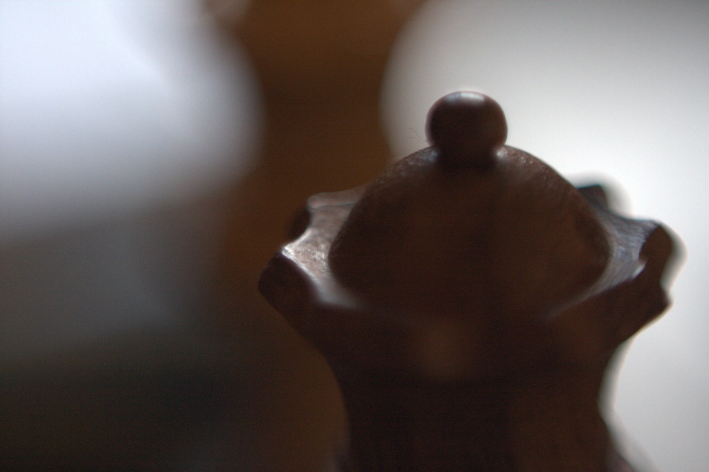 Reinha, fotografia digital, 2013, parte da série 3x4s