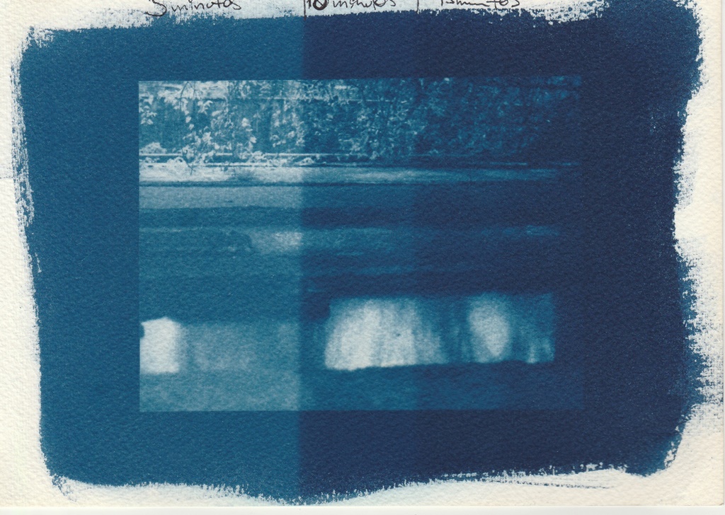 Cianotipia sobre papel, testando os tempos de exposição, 2019