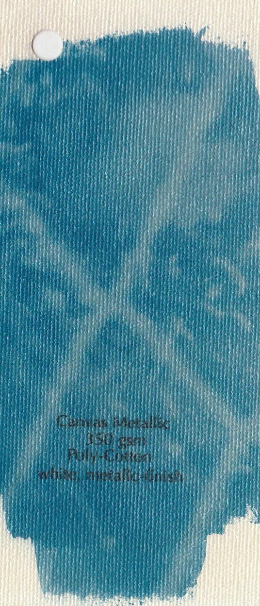 Cianotipia sobre papel inkjet, 2016