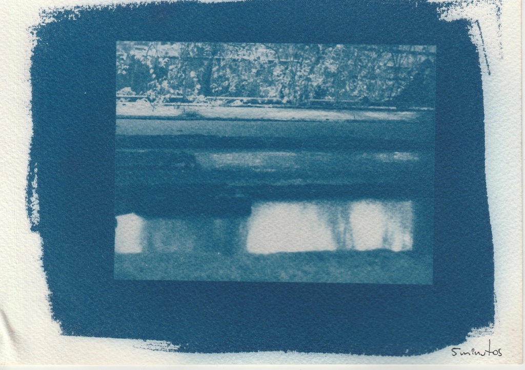 Cianotipia sobre papel, testando os tempos de exposição, 2019