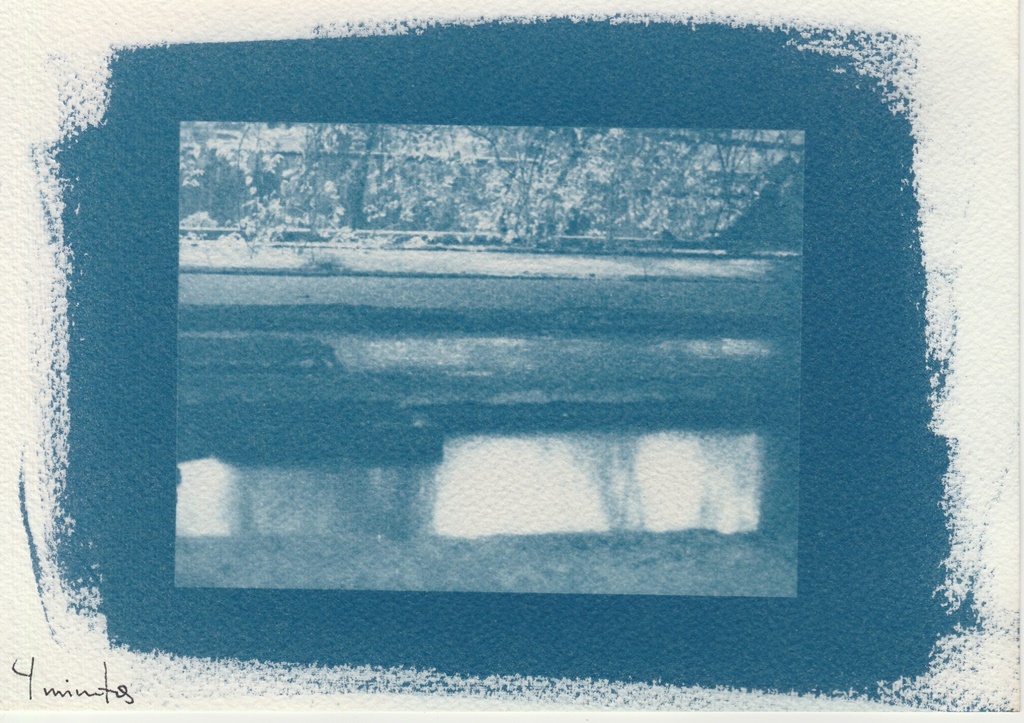 Cianotipia sobre papel, testando os tempos de exposição, 2019