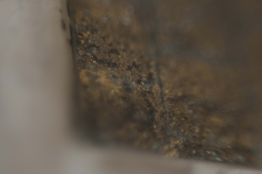 Guarda do Batistério, macro fotografia digital, 2011