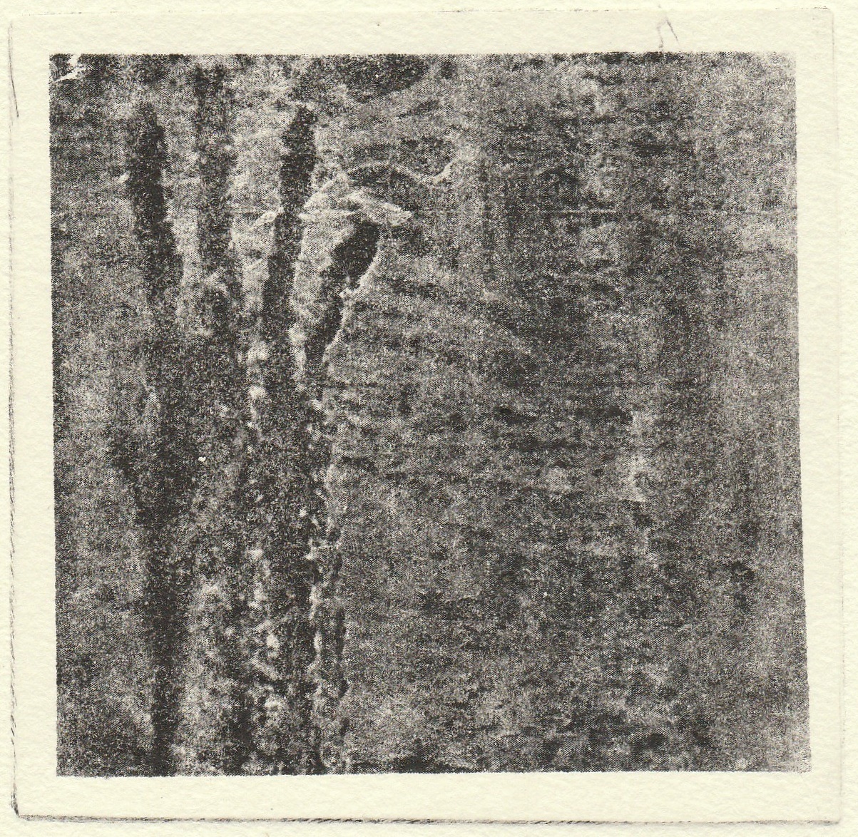 "Escorrega", fotogravura, 2018