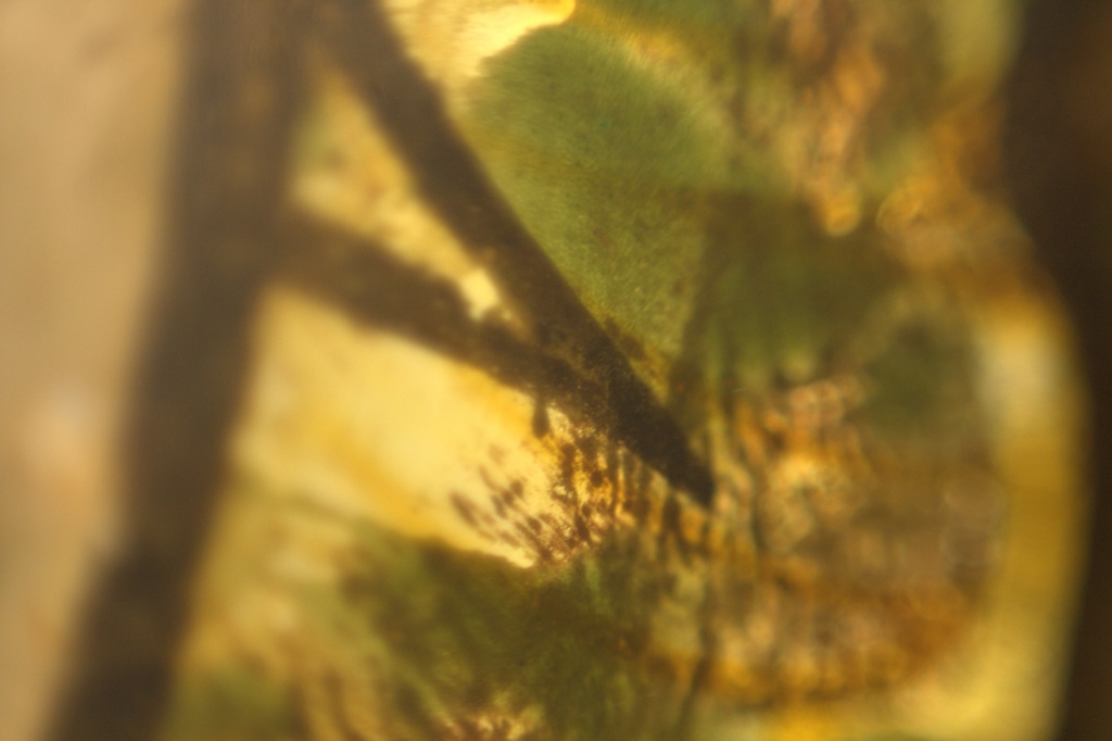 Vitral Sujo, fotografia digital, 2013, parte da série 3x4s