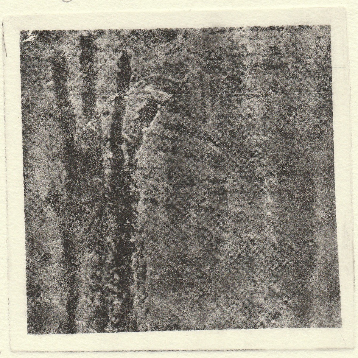 "Escorrega", fotogravura, 2018